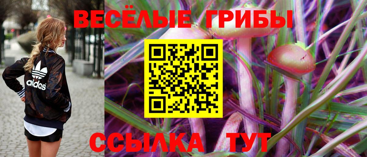 Галлюциногенные грибы Psilocybe  Вход с VPN  Ростов-на-Дону 